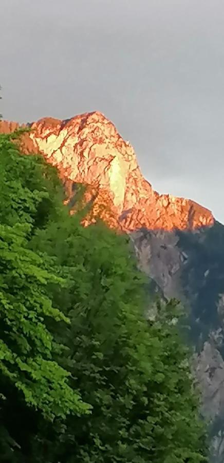 Apartma Arh Rateče Exterior foto